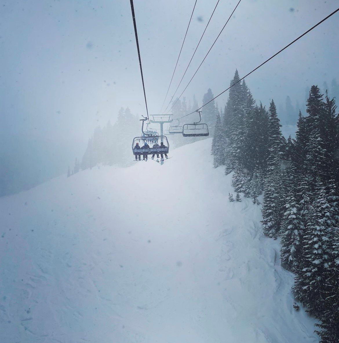 Ski lift carrying people above a snowy slope surrounded by pine trees on a foggy day.
